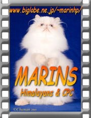 marins1_banner.jpg