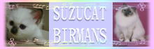 suzucat_banner2.jpg