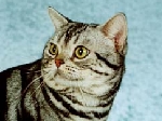 max1.jpg